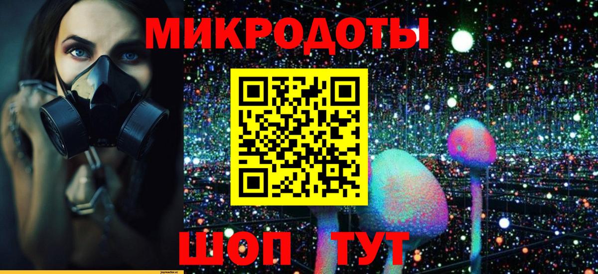 Псилоцибиновые грибы Psilocybine cubensis Муравленко