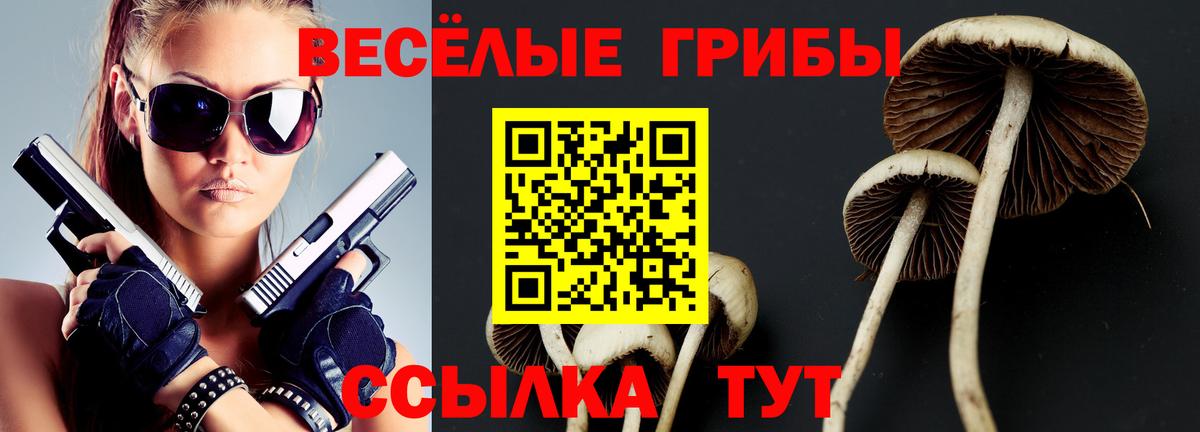 Муравленко  Галлюциногенные грибы MAGIC MUSHROOMS  Вход с VPN  Псилоцибиновые грибы Psilocybine cubensis 